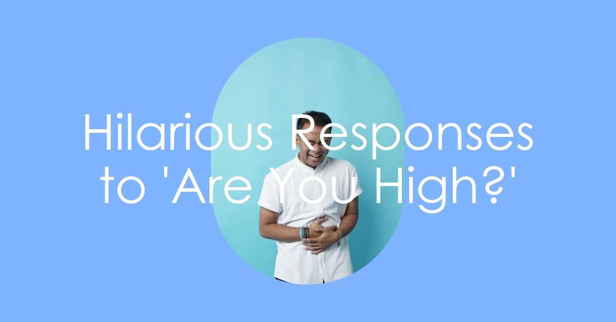Clever Funny Responses to 'Are You High?'
