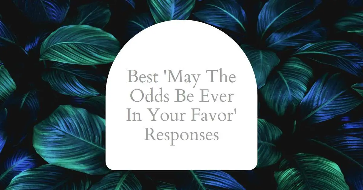 Best Responses to 'May The Odds Be Ever In Your Favor'